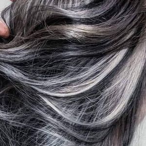 Meet your Posher, Reno